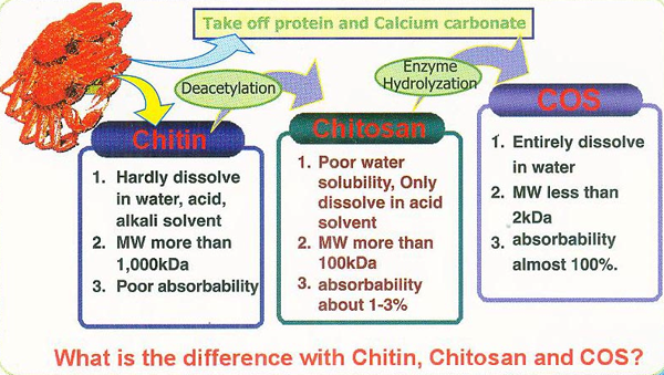 Chitosan Oligosaccharides, Water Soluble Chitosan, Glucosamine, Liquid